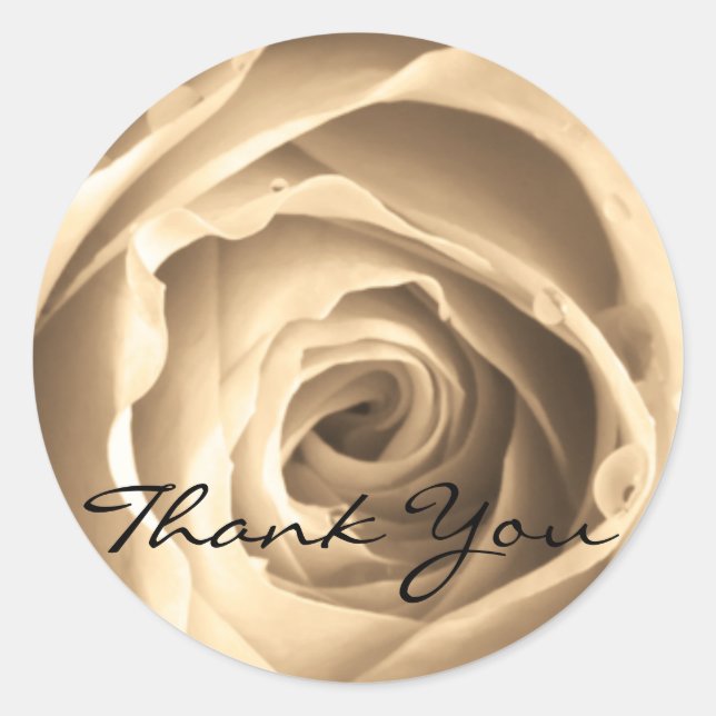 Sepia Rose, Thank You Classic Round Sticker (Front)