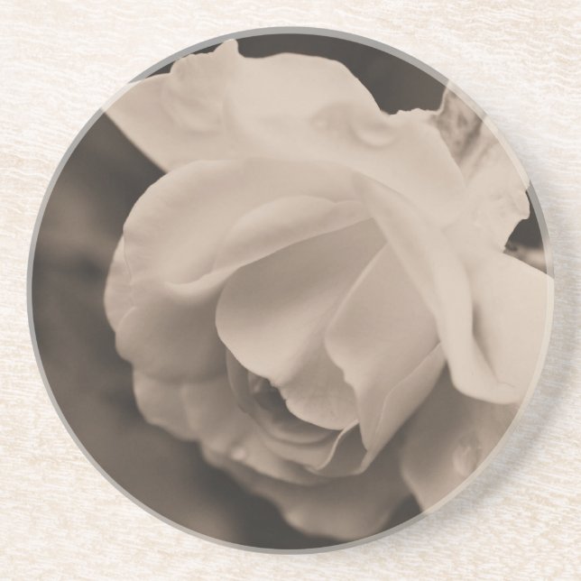 Sepia Rosebud Floral Coaster (Front)