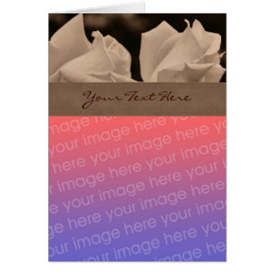 Sepia Rosebuds Floral Photo Card