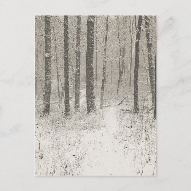 Sepia Snow Scene Postcard (Front)