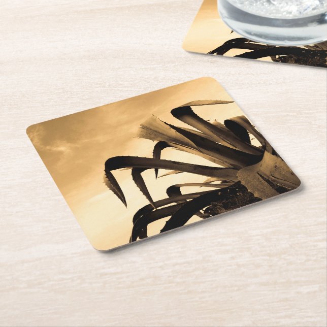 Sepia Spanish Aloe Plant Photograph  Square Paper Coaster (Angled)