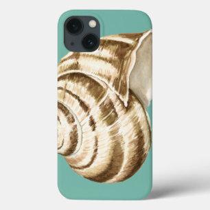 Sepia Striped Shell on Teal iPhone 13 Case