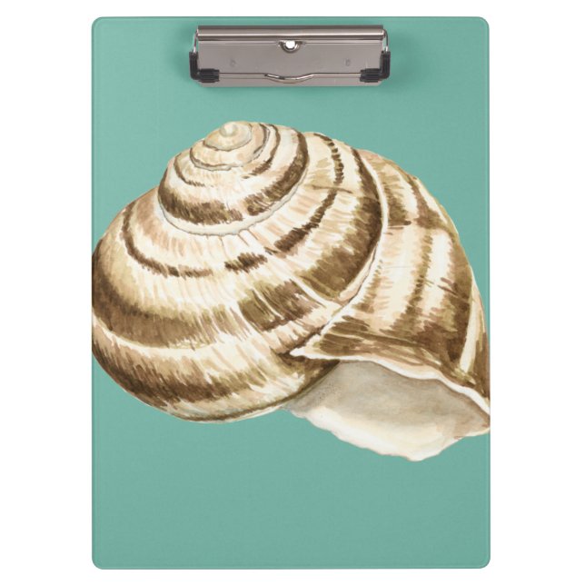 Sepia Striped Shell on Teal Clipboard (Front)