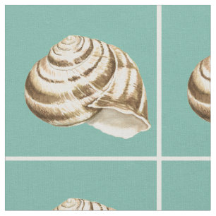 Sepia Striped Shell on Teal Fabric