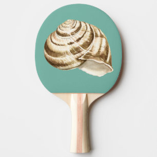 Sepia Striped Shell on Teal Ping Pong Paddle