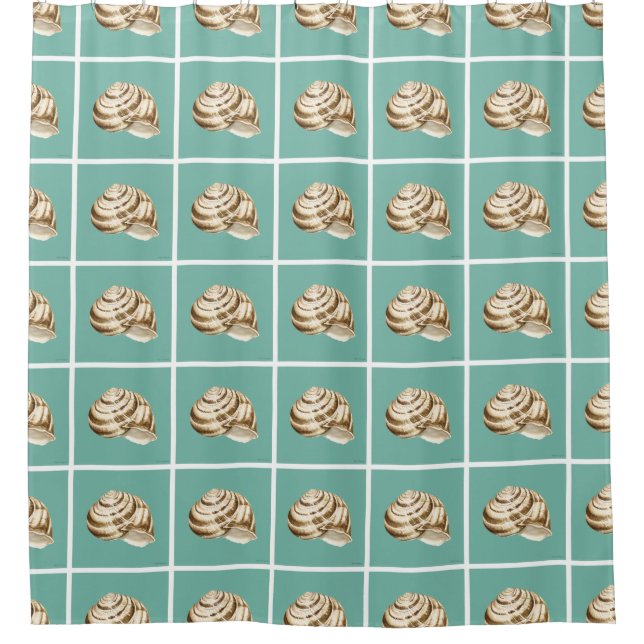 Sepia Striped Shell on Teal Shower Curtain (Front)