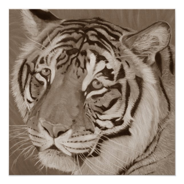sepia tiger big cat original wildlife realist art poster (Front)