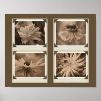 Sepia Tint Flowers Collage Nature