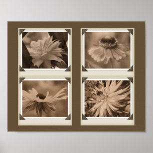 Sepia Tint Flowers Collage Nature Poster
