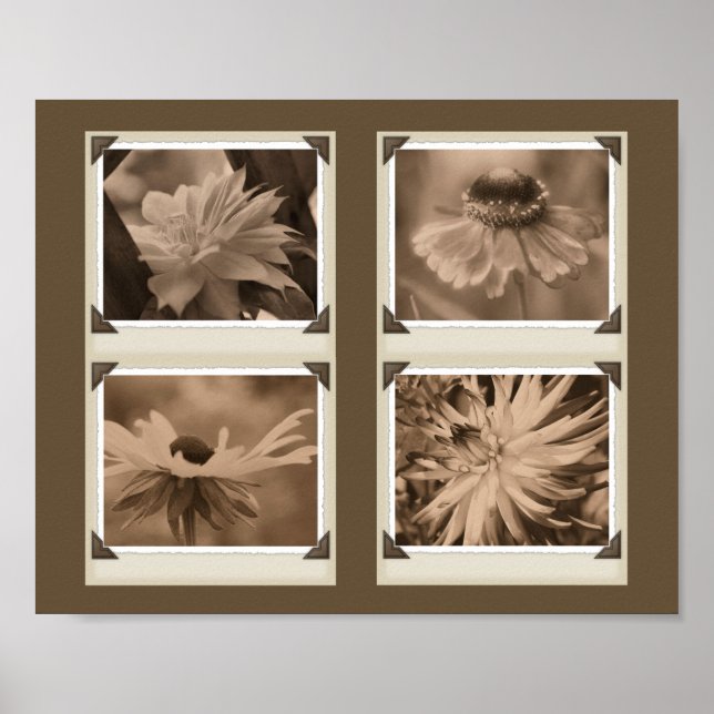 Sepia Tint Flowers Collage Nature Poster (Front)