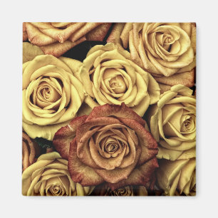 Sepia Tinted Roses Magnet
