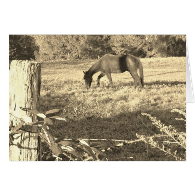 Sepia tone Brown horse and fence (Front Horizontal)