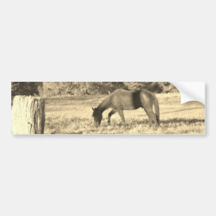 Sepia tone Brown horse and fence Bumper Sticker