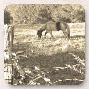Sepia tone Brown horse and fence Coaster