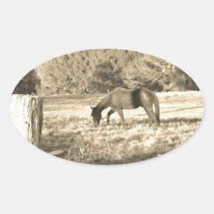Sepia tone Brown horse and fence Oval Sticker