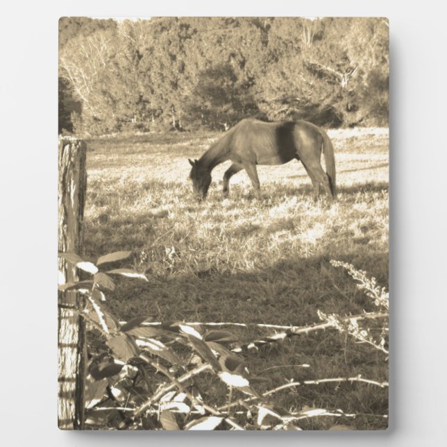Sepia tone Brown horse and fence Plaque (Front)