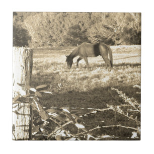 Sepia tone Brown horse and fence Tile