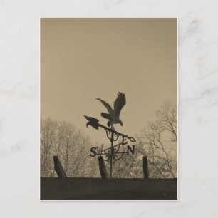Sepia Tone Eagle Weather vane Postcard