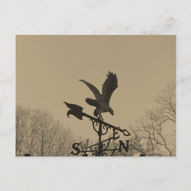 Sepia Tone Eagle Weather vane Postcard (Front)