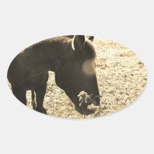 Sepia Tone  Photo of  brown Horse with flowers Oval Sticker
