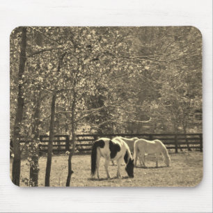 Sepia Tone  Photo of Horse Mouse Mat