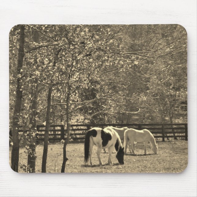 Sepia Tone  Photo of Horse Mouse Mat (Front)