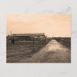 Sepia Tone Photograph Postcard