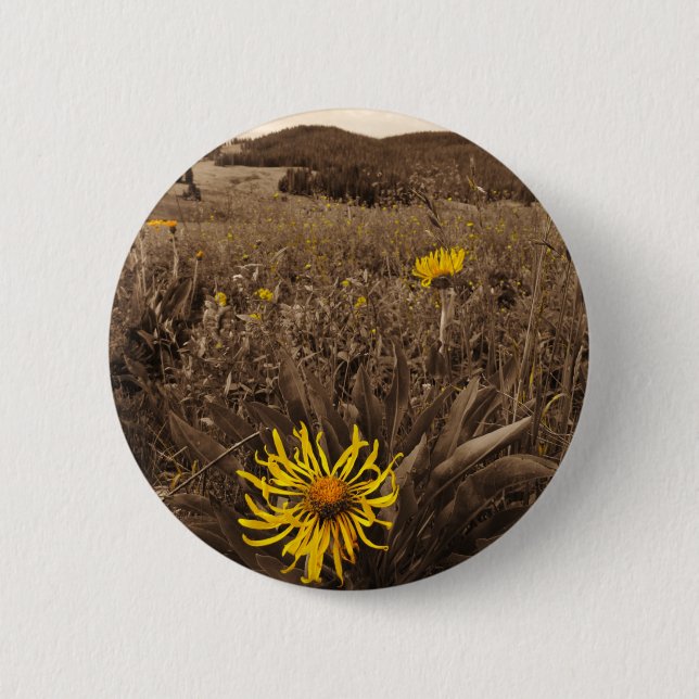 Sepia tone Yellow wildflowers 6 Cm Round Badge (Front)