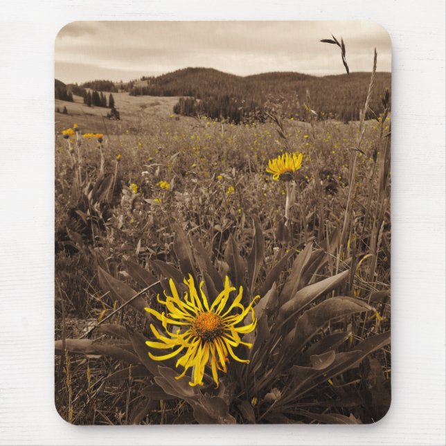 Sepia tone Yellow wildflowers Mouse Mat (Front)