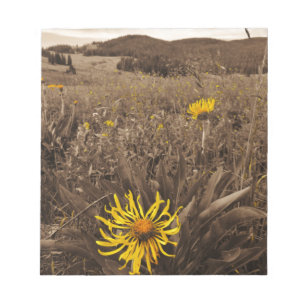 Sepia tone Yellow wildflowers Notepad