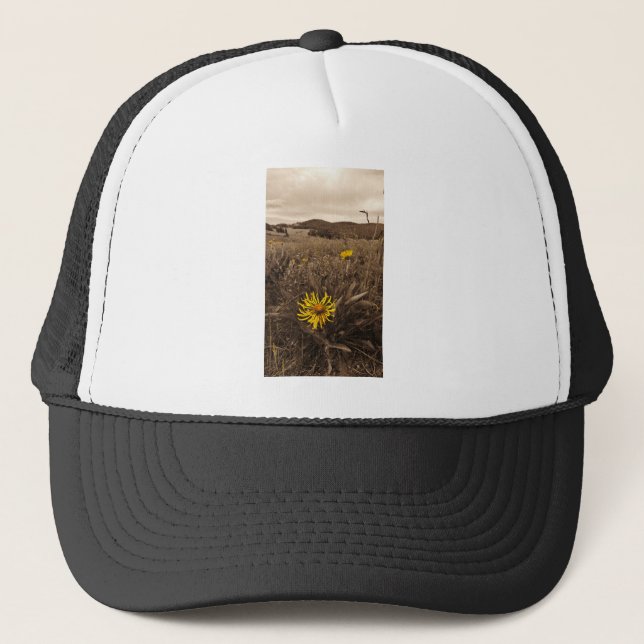 Sepia tone Yellow wildflowers Trucker Hat (Front)