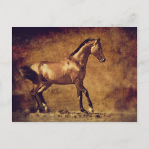 Sepia Toned Rustic Horse Art Postcard