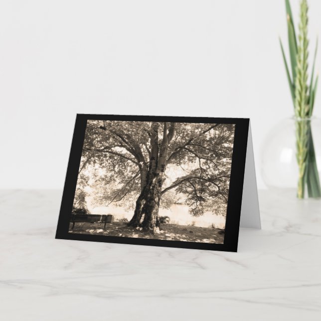 Sepia Tree Greeting Card (Front)
