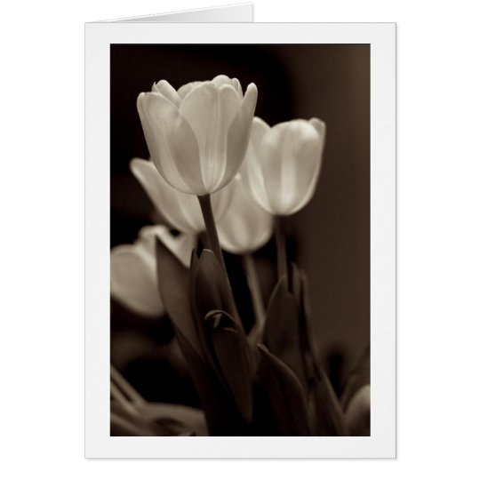 Sepia Tulip Note Card