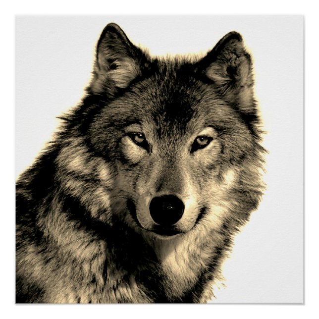 Sepia Unique Motivational Wolf Creative Square Poster (Front)