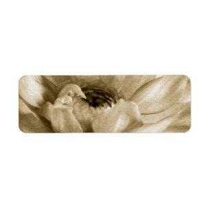 Sepia White & Cream Dahlia Background Customised