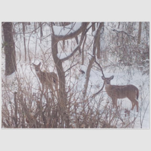 Sepia Winter Season Snow and Deer Photo  Tissue Paper