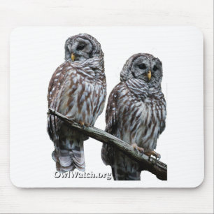 Sept 2014 - OwlWatch Owls Mouse Mat