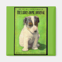 September 1906 Ladies Home Journal cover puppy