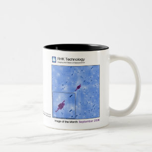 September 2006 - RHK Technology: Image of the Mont Two-Tone Coffee Mug