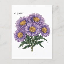 September Aster Birth Month Custom Floral Art