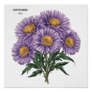September Aster Birth Month Custom Floral Art Poster