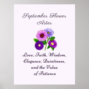 September Birth Month Flower Aster Personalised  Poster