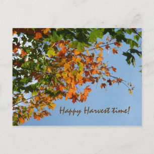 September colours postcard