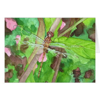 September Dragonfly