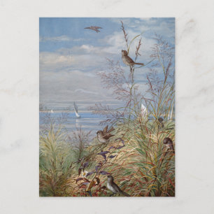 September   Fidelia Bridges Postcard