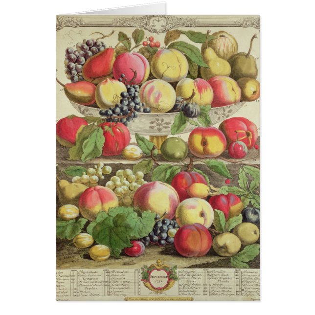 September, from 'Twelve Months of Fruits' (Front)