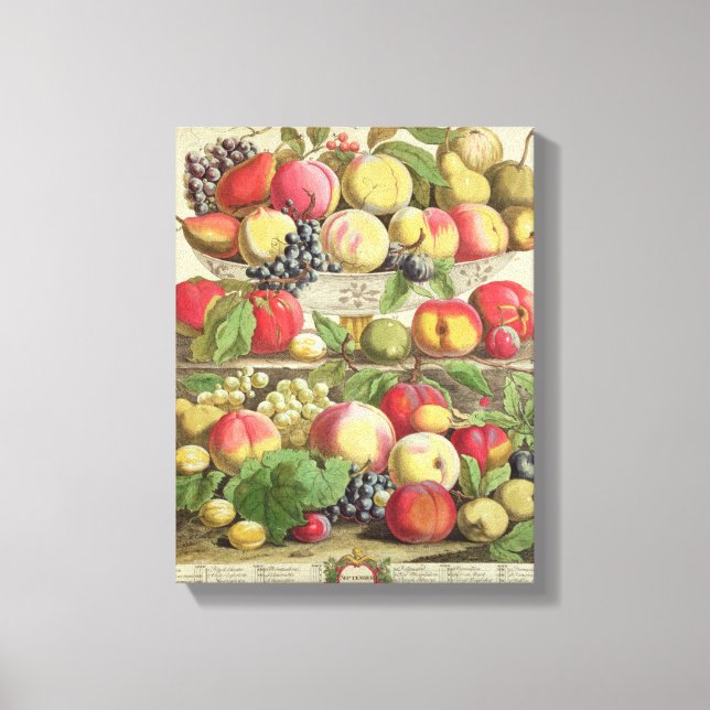 September, from 'Twelve Months of Fruits' Canvas Print (Front)