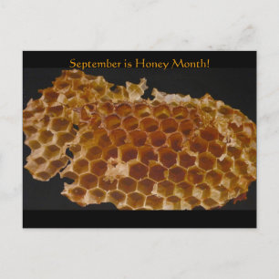September is Honey Month! Postcard
