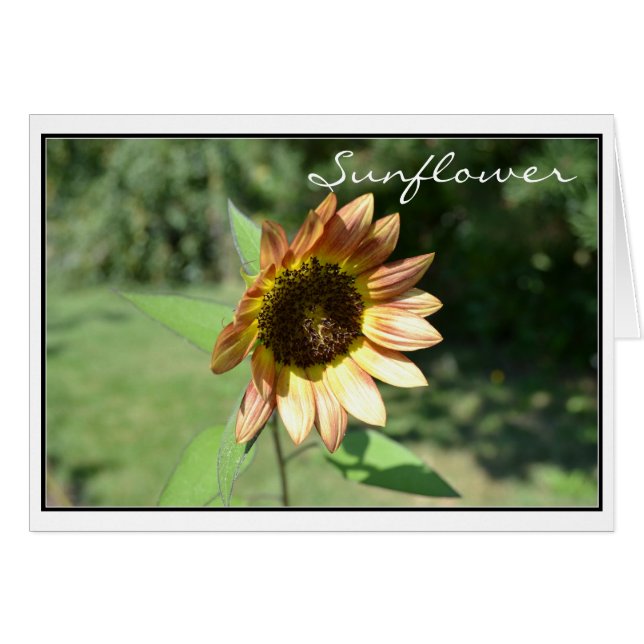 September Sunflower Card (Front Horizontal)